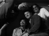 immagine:  fOnibOIs