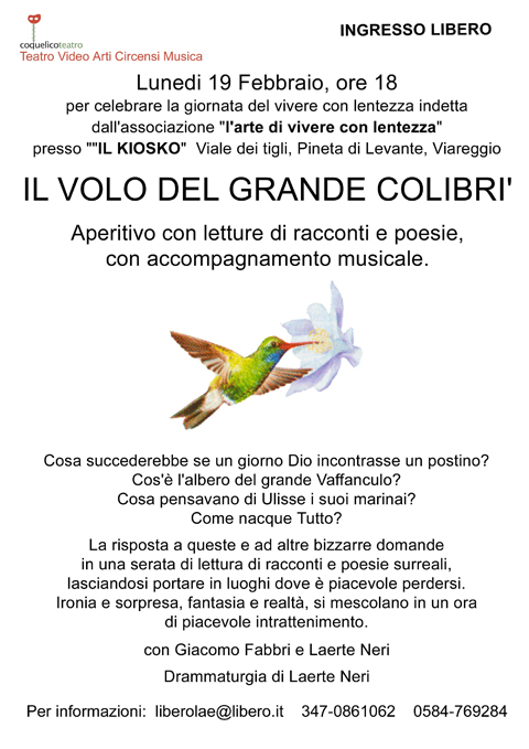 immagine:  IL VOLO DEL GRANDE COLIBRI'